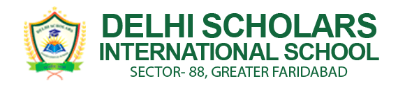 DSIS Logo Top 2